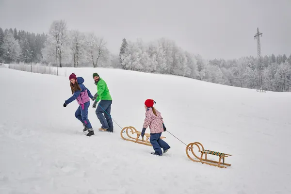 Family sledging in Vesser · Thuringian Forest